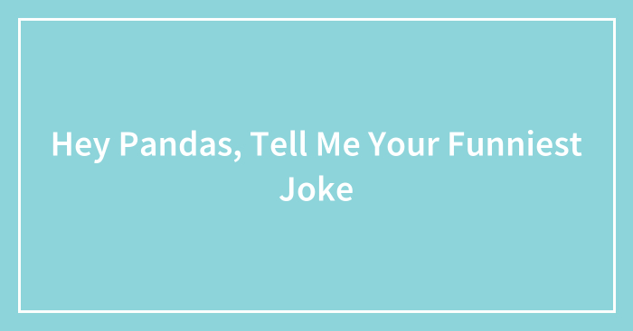 Hey Pandas, Tell Me Your Funniest Joke (Closed)