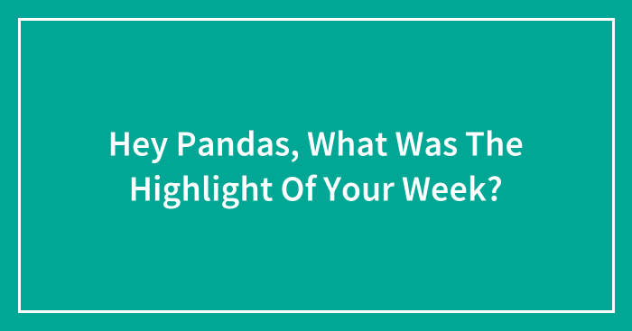 Hey Pandas, What Was The Highlight Of Your Week? (Closed)
