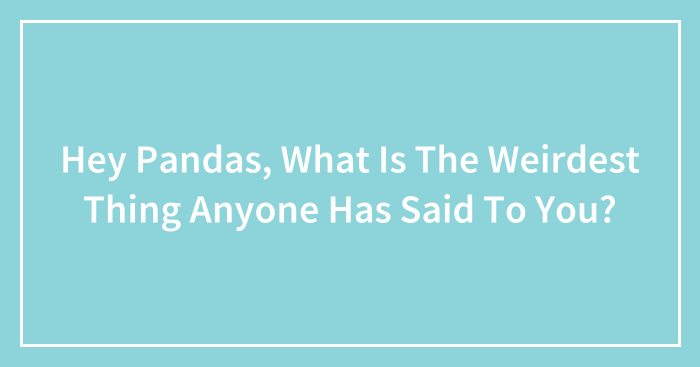 Hey Pandas, What Is The Weirdest Thing Anyone Has Said To You? (Closed)