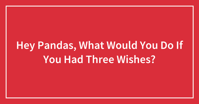 Hey Pandas, What Would You Do If You Had Three Wishes? (Closed)