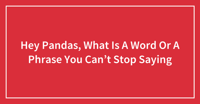 Hey Pandas, What Is A Word Or A Phrase You Can’t Stop Saying (Closed)