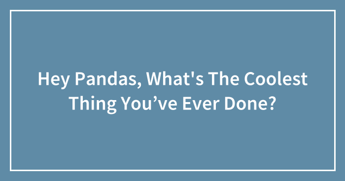 Hey Pandas, What’s The Coolest Thing You’ve Ever Done? (Closed)