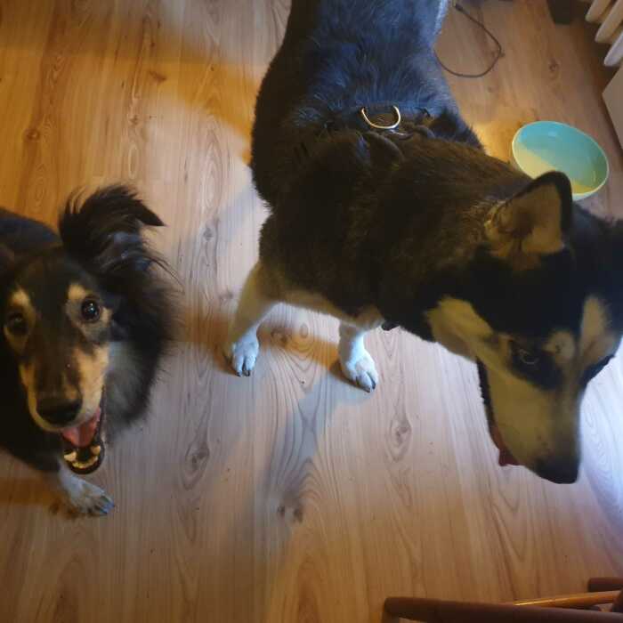 Hey Pandas, Post The 5th Image In Your Camera Roll (Closed)