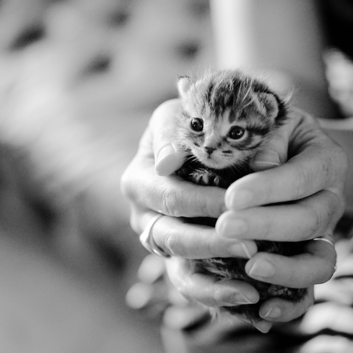 Hey Pandas, Post The Coolest Picture Of An Animal That You’ve Taken (Closed)