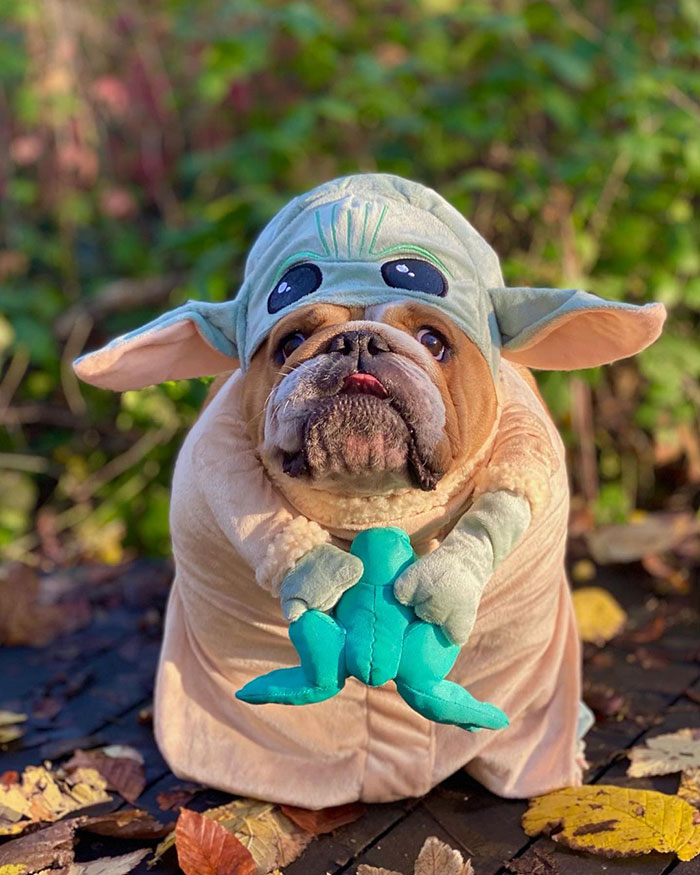 I’m Baby Yoda