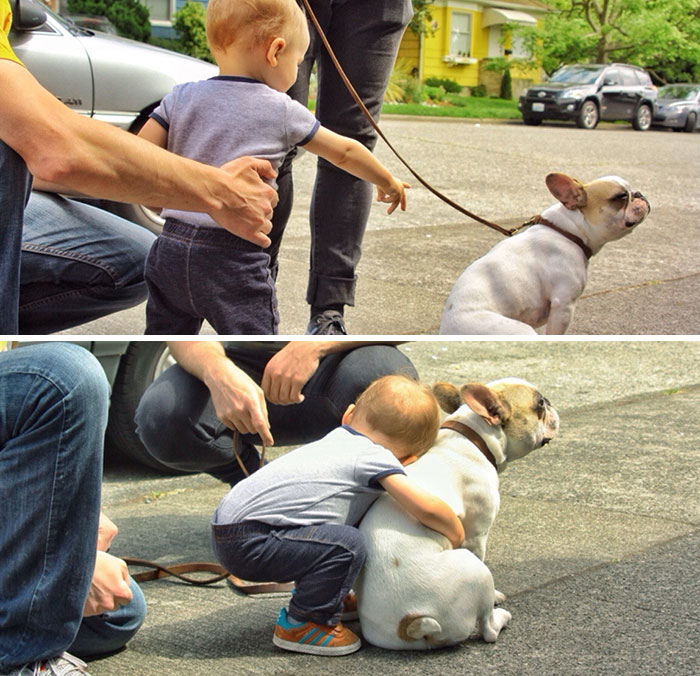 Este niño ama a su pequeño bulldog