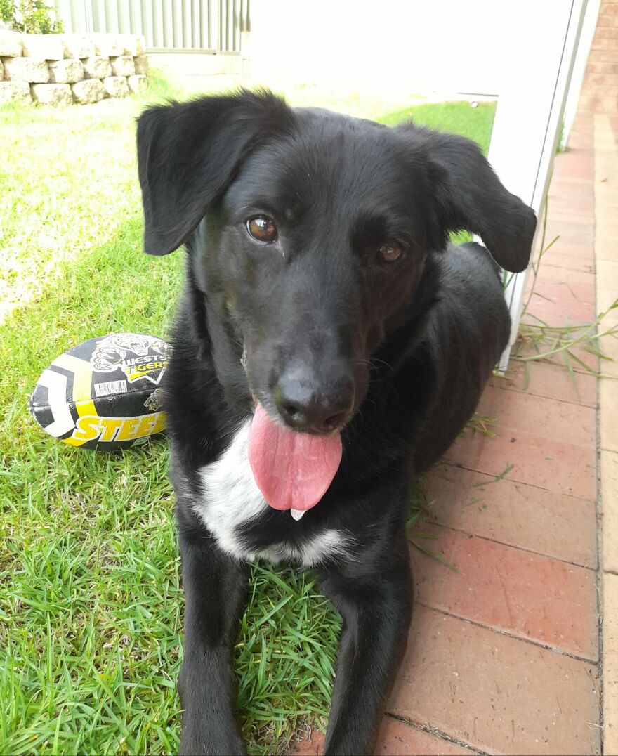 Ooooh I See The Tennis Ball