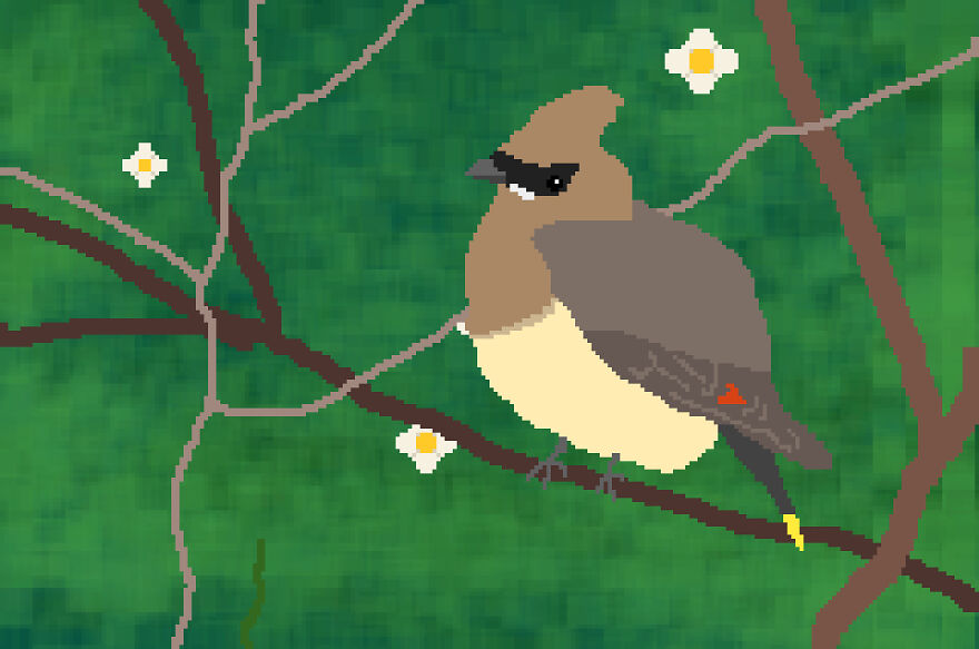 I Make Pixel Art Birds For Fun, Here Are Some Of My Favorites.