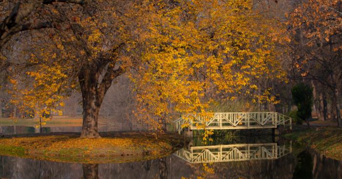 Autumn Begins Today, And Here Are My 12 Photos That Show What Autumn’s Like In Macedonia