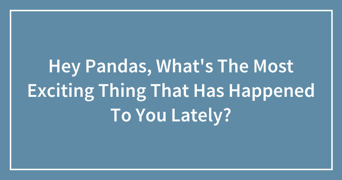 Hey Pandas, What’s The Most Exciting Thing That Has Happened To You Lately? (Closed)