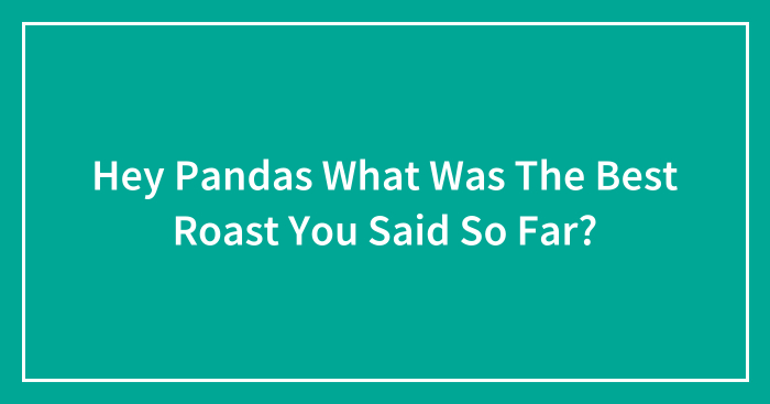 Hey Pandas What Was The Best Roast You Said So Far?