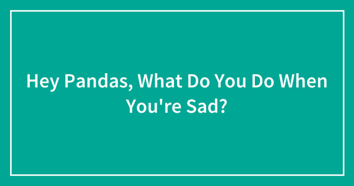 Hey Pandas, What Do You Do When You’re Sad? (Closed)