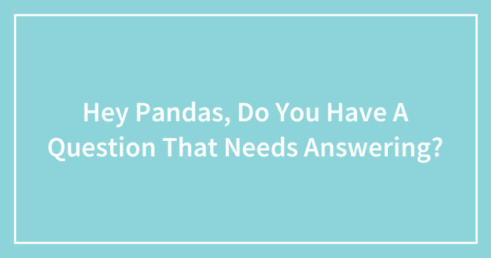 Hey Pandas, Do You Have A Question That Needs Answering? (Closed)