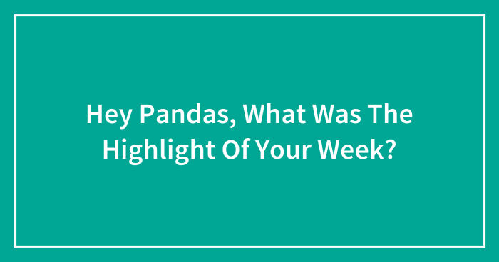 Hey Pandas, What Was The Highlight Of Your Week? (Closed)