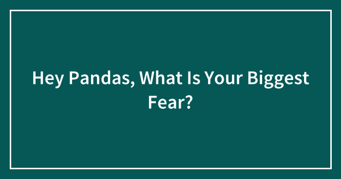 Hey Pandas, What Is Your Biggest Fear?