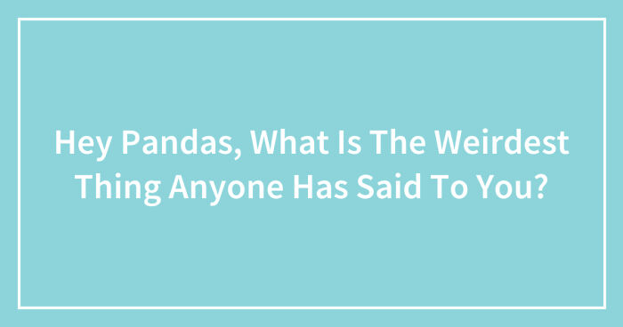 Hey Pandas, What Is The Weirdest Thing Anyone Has Said To You? (Closed)