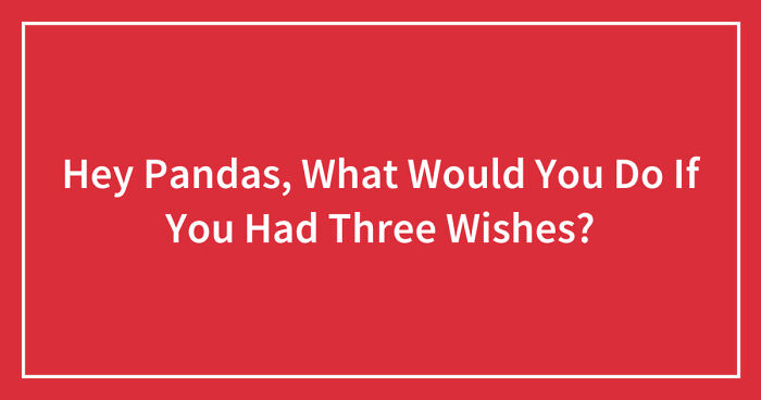 Hey Pandas, What Would You Do If You Had Three Wishes? (Closed)