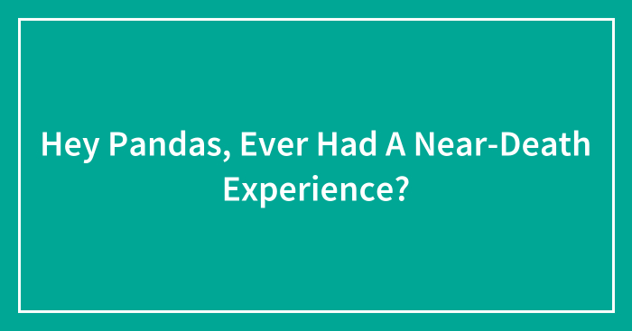 Hey Pandas, Ever Had A Near-Death Experience?