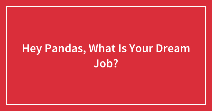 Hey Pandas, What Is Your Dream Job?