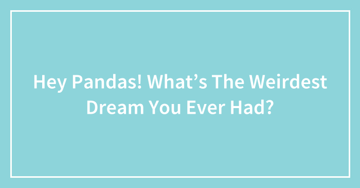 Hey Pandas! What’s The Weirdest Dream You Ever Had?