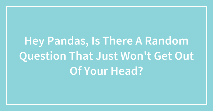 Hey Pandas, Is There A Random Question That Just Won’t Get Out Of Your Head?