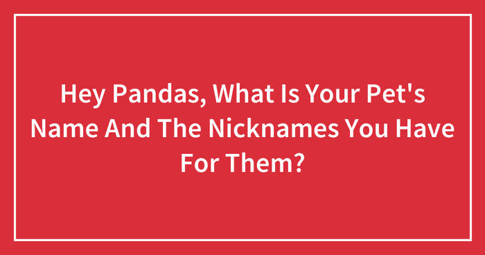 Hey Pandas, What Is Your Pet’s Name And The Nicknames You Have For Them? (Closed)