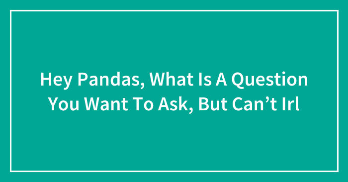 Hey Pandas, What Is A Question You Want To Ask, But Can’t Irl (Closed)