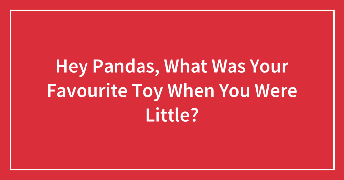 Hey Pandas, What Was Your Favourite Toy When You Were Little?