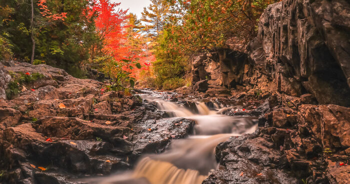 I’m Ready For Fall Photography (4 Pics)