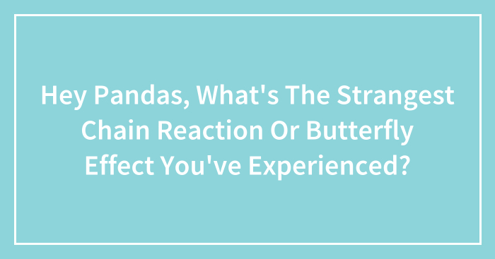 Hey Pandas, What’s The Strangest Chain Reaction Or Butterfly Effect You’ve Experienced?