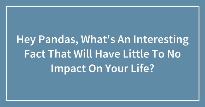 Hey Pandas, What’s An Interesting Fact That Will Have Little To No Impact On Your Life?