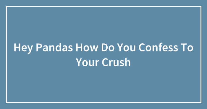 Hey Pandas How Do You Confess To Your Crush