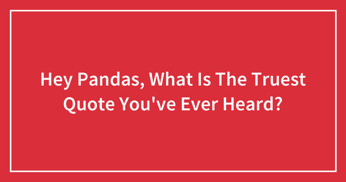 Hey Pandas, What Is The Truest Quote You’ve Ever Heard? (Closed)