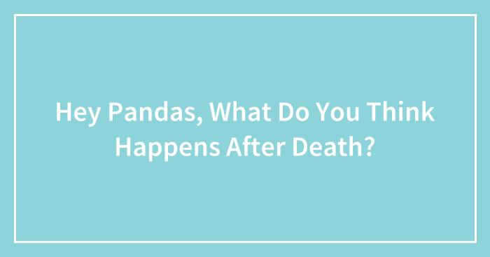 Hey Pandas, What Do You Think Happens After Death? (Closed)