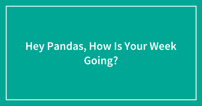 Hey Pandas, How Is Your Week Going? (Closed)