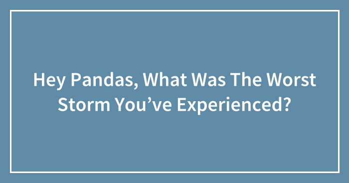 Hey Pandas, What Was The Worst Storm You’ve Experienced? (Closed)