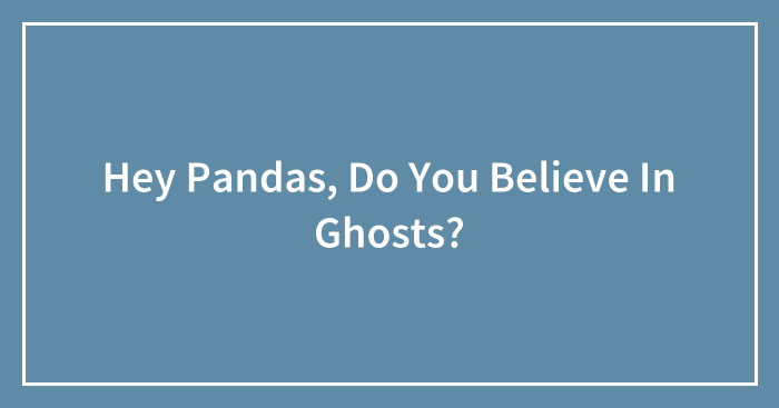 Hey Pandas, Do You Believe In Ghosts? (Closed)