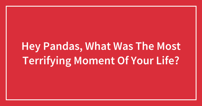 Hey Pandas, What Was The Most Terrifying Moment Of Your Life?