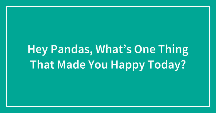 Hey Pandas, What’s One Thing That Made You Happy Today? (Closed)