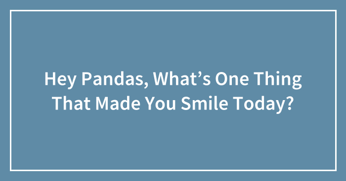 Hey Pandas, What’s One Thing That Made You Smile Today? (Closed)