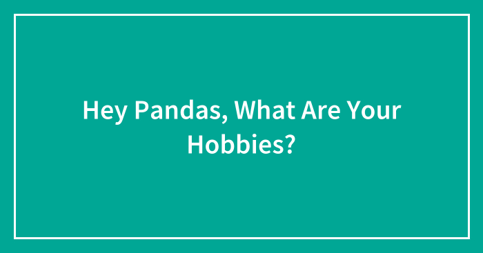Hey Pandas, What Are Your Hobbies?