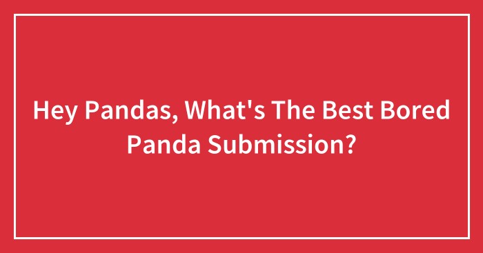 Hey Pandas, What’s The Best Bored Panda Submission?