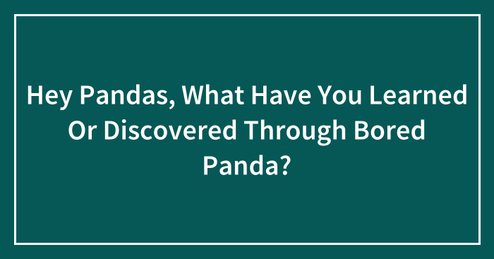 Hey Pandas, What Have You Learned Or Discovered Through Bored Panda?