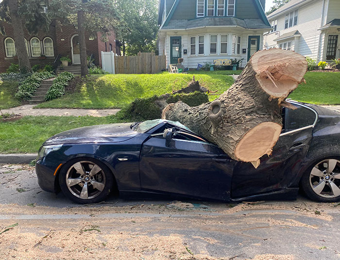 Mother Nature Decided That This BMW Should Be A Convertible