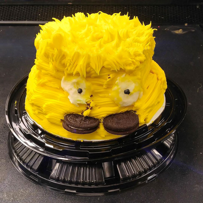 When Even Your Cake Is Hungover