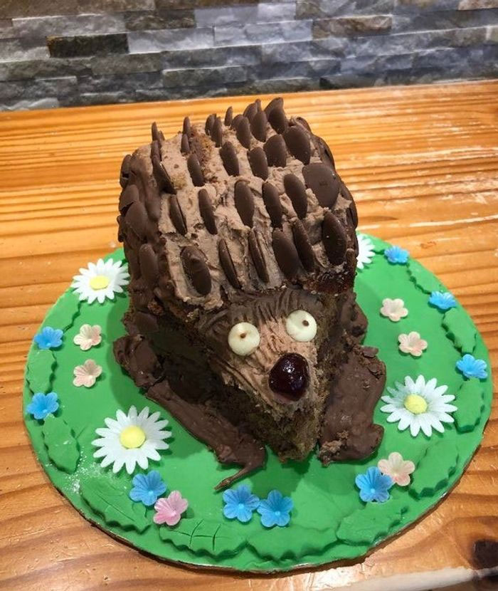 My Mom Knows I Like Hedgehogs, She Said I Couldn’t Come In The Kitchen All Day She She Spent All Day Making Me A Surprise Birthday Cake. Love You Mom