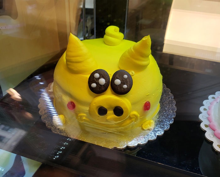 I Asked For A Pikachu Cake And Got A Pigachu