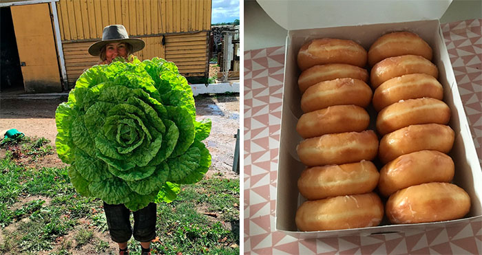 50 Times People Absolutely Won The Food Lottery