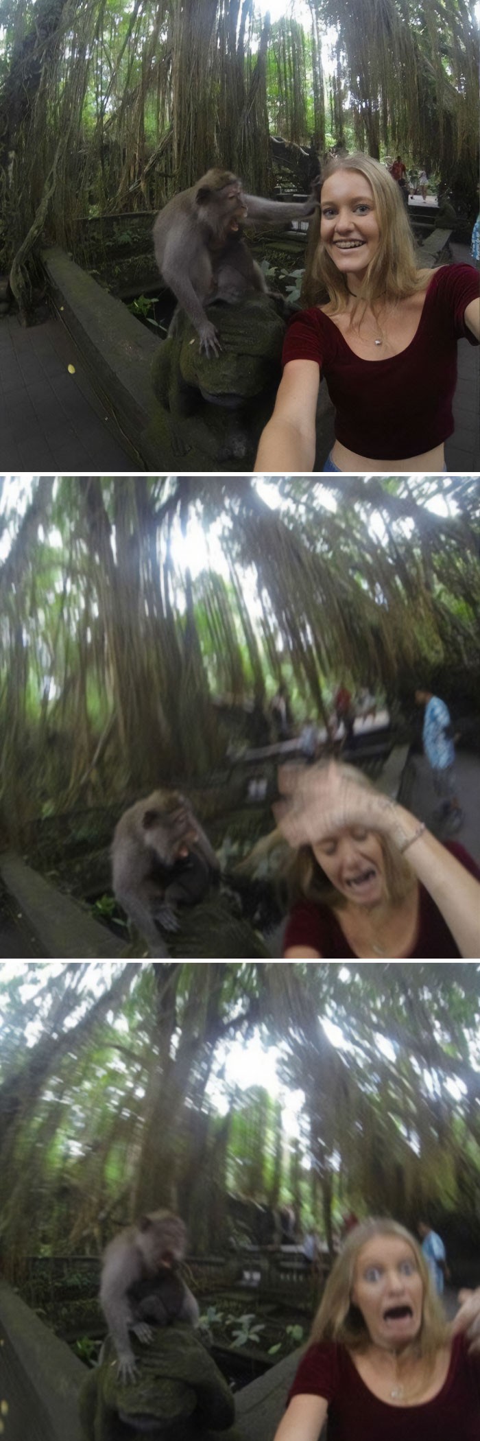 My Friend Tried Taking A Selfie With A Monkey. It Didn't End Well