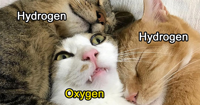 This Page Is Posting ‘Bad Science Jokes’ And Here Are 40 Of The Worst Ones